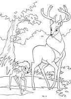 kolorowanki Bambi Disney malowanki do wydruku numer 20